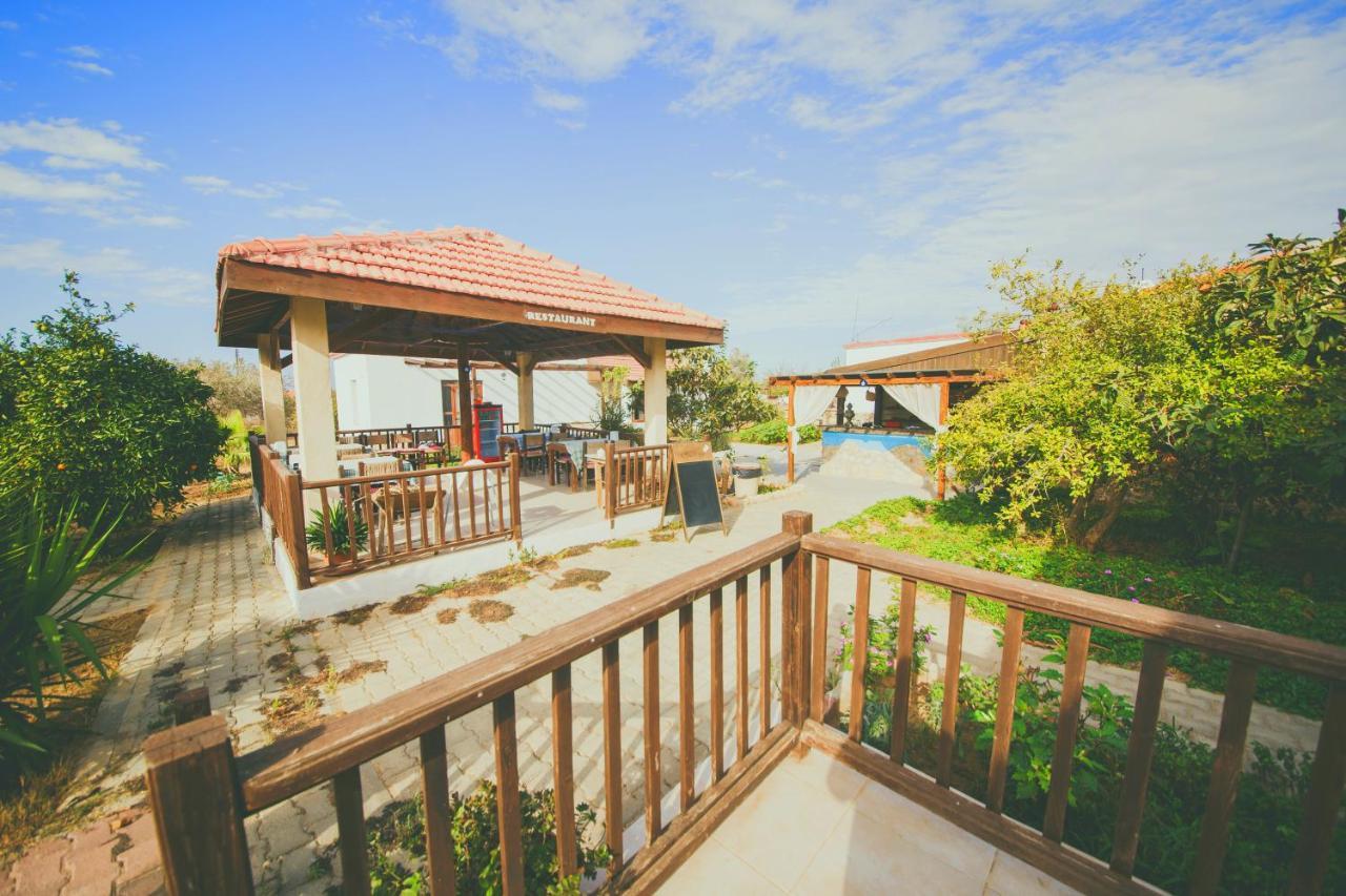Castle Karpasia Guest House Authentic Atmosphere ! Rizokarpaso 외부 사진